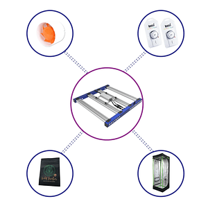 Kit Starter Quantum Lite Delight 80- 240W Fácil Armado