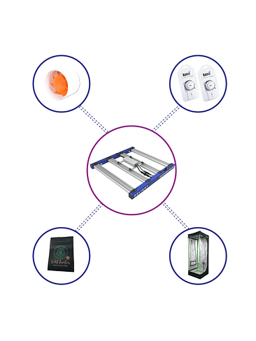 KIT STARTER QUANTUM LITE DELIGHT 80- 240W FÁCIL ARMADO 1