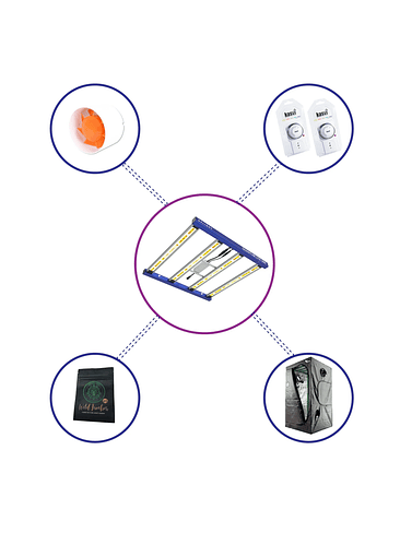 KIT STARTER QUANTUM LITE DELIGHT 100- 360W FÁCIL ARMADO 1