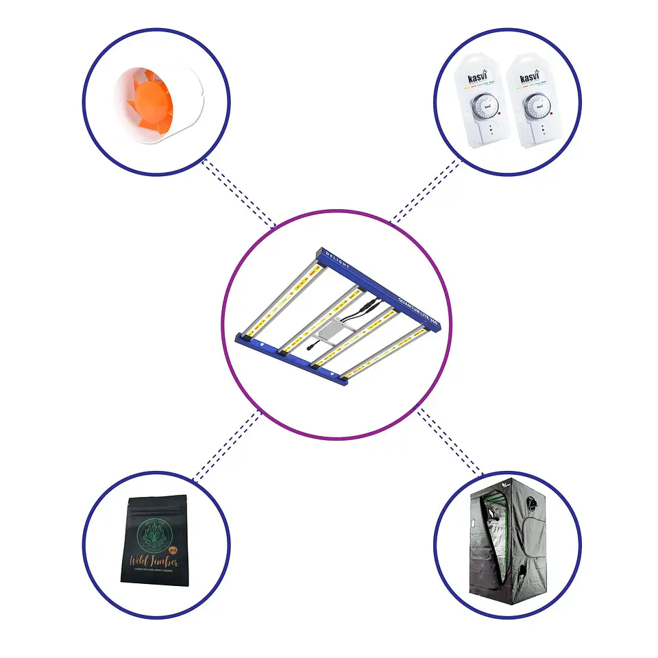 Kit Starter Quantum Lite Delight 100- 360W Fácil Armado 1