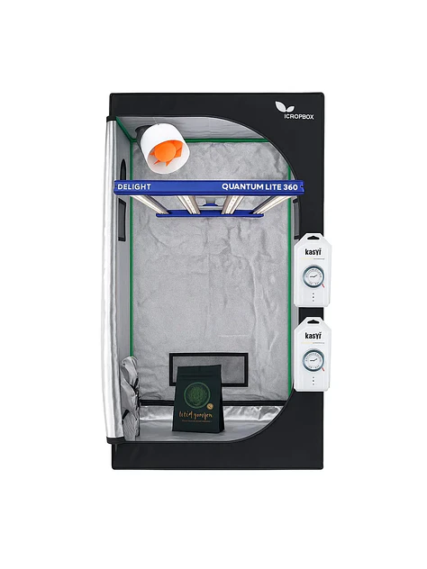Kit Starter Quantum Lite Delight 100- 360W Fácil Armado 2