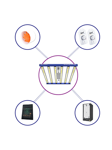 KIT STARTER QUANTUM LITE DELIGHT 120- 600W FÁCIL ARMADO 2