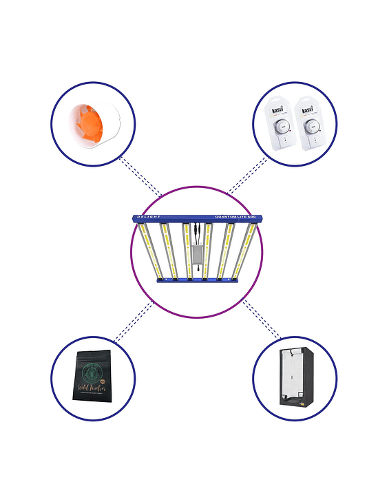 KIT STARTER QUANTUM LITE DELIGHT 120- 600W FÁCIL ARMADO 2