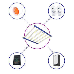 Kit Starter Quantum Lite Delight Plus 120- 720W Fácil Armado