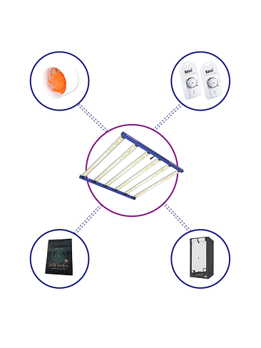 KIT STARTER QUANTUM LITE DELIGHT PLUS 120- 720W FÁCIL ARMADO 2