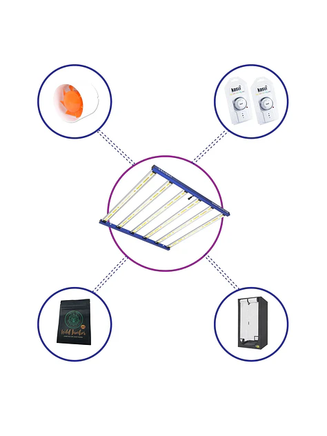 Kit Starter Quantum Lite Delight Plus 120- 720W Fácil Armado 2