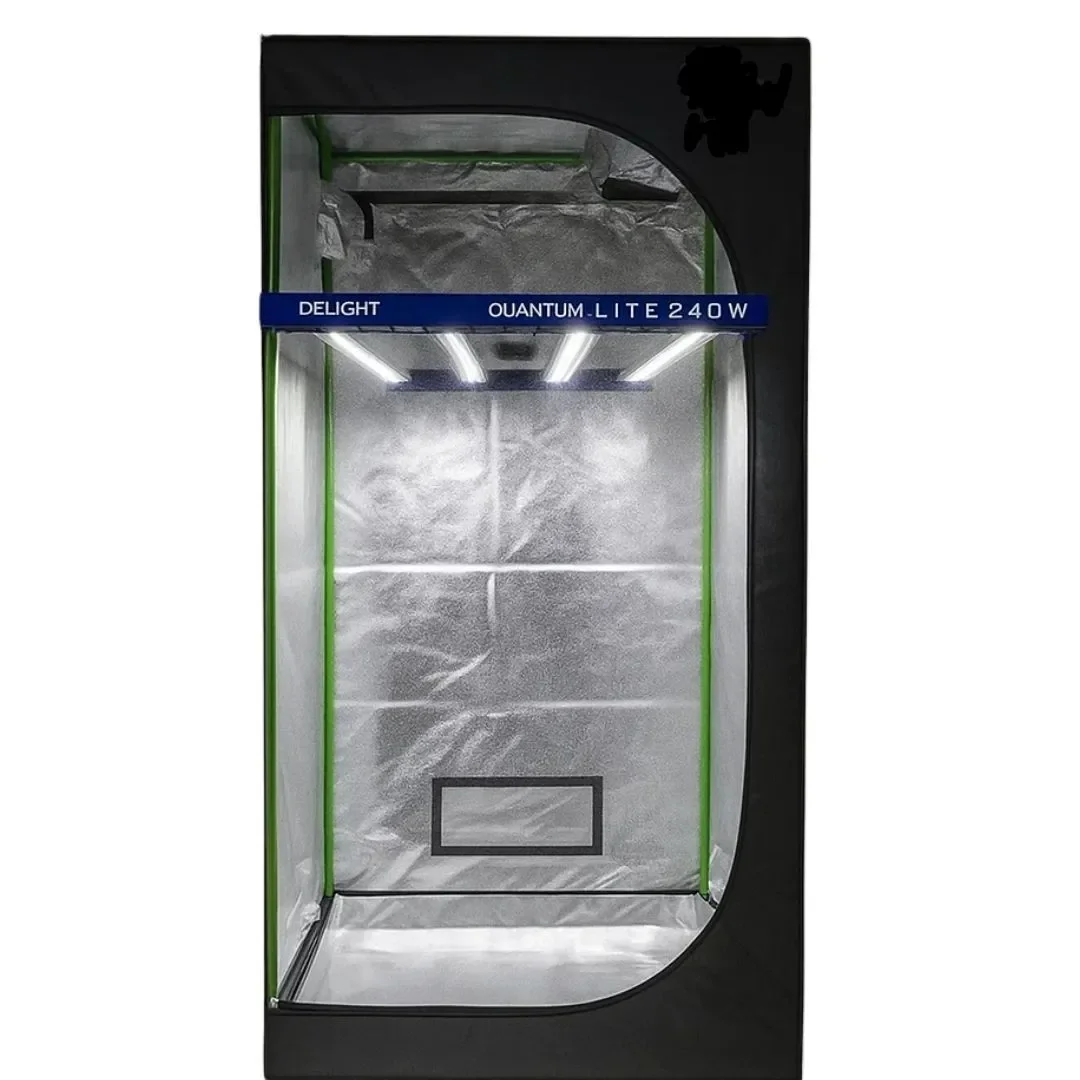 Pack Indoor 80X80 / Quantum Lite 240W Delight 1