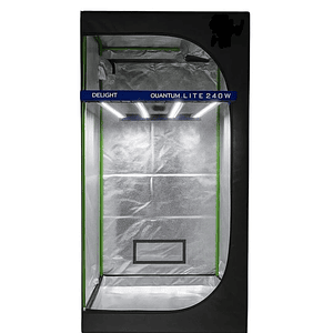 Pack Indoor 80X80 / Quantum Lite 240W Delight