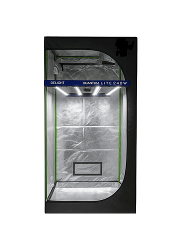 PACK INDOOR 80X80 / QUANTUM LITE 240W DELIGHT 1
