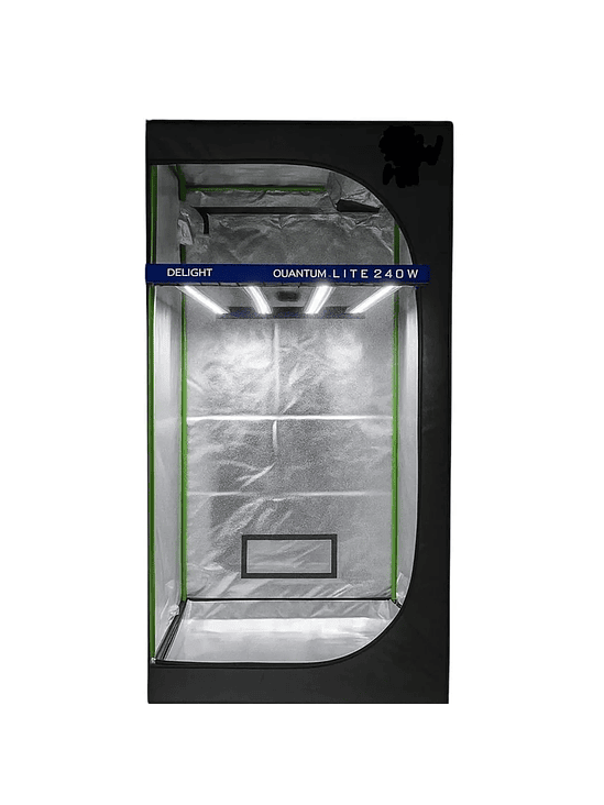 PACK INDOOR 80X80 / QUANTUM LITE 240W DELIGHT 1