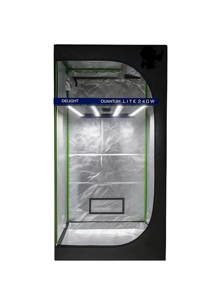 Pack Indoor 80X80 / Quantum Lite 240W Delight 1