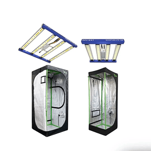 Pack Led Indoor 80X80 Quantum Lite - Delight - 160W Y 360W