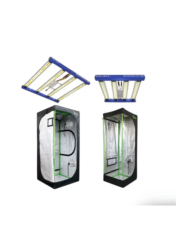 Pack Led Indoor 80X80 Quantum Lite - Delight - 160W Y 360W 1