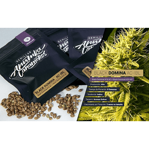 Black Domina A.C Fem X3-Anumka Cañameros