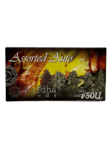 ASSORTED AUTO X50-BUDDHA SEEDS 1