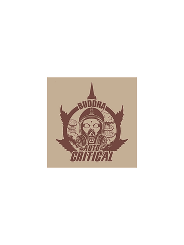 CRITICAL CLASSICS AUTO X3+1-BUDDHA SEEDS 1