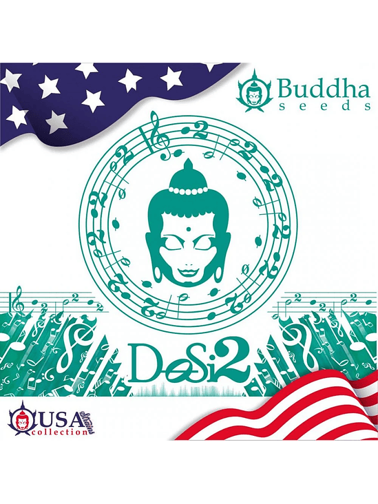 DOSI2 FEM X3+1-BUDDHA SEEDS 1