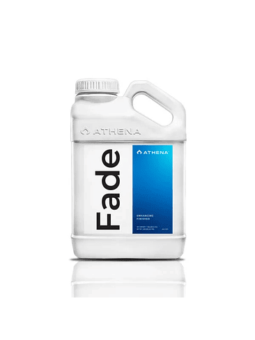 FADE 3.75L - ATHENA 1