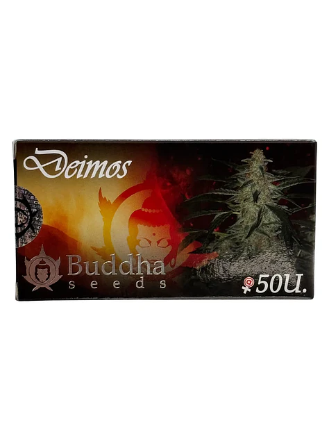 Deimos Auto -Buddha Seeds (X50/X3+1/X3) 1