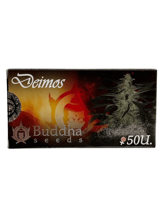 DEIMOS AUTO X50-BUDDHA SEEDS 1