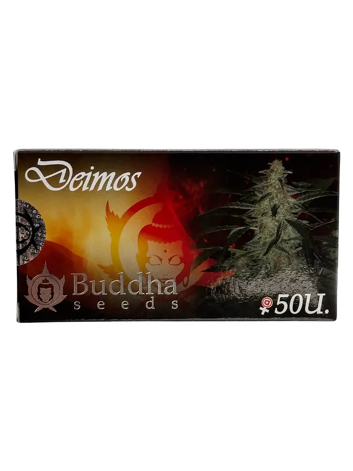 Deimos Auto -Buddha Seeds (X50/X3+1/X3) 1