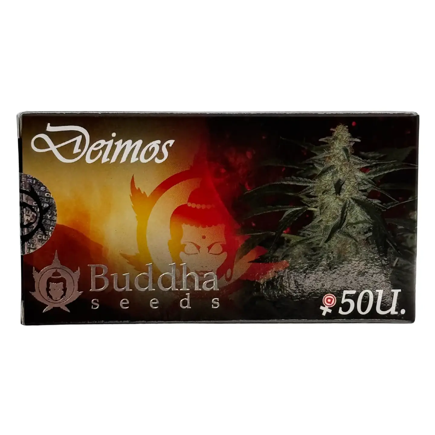 Deimos Auto -Buddha Seeds (X50/X3+1) 1