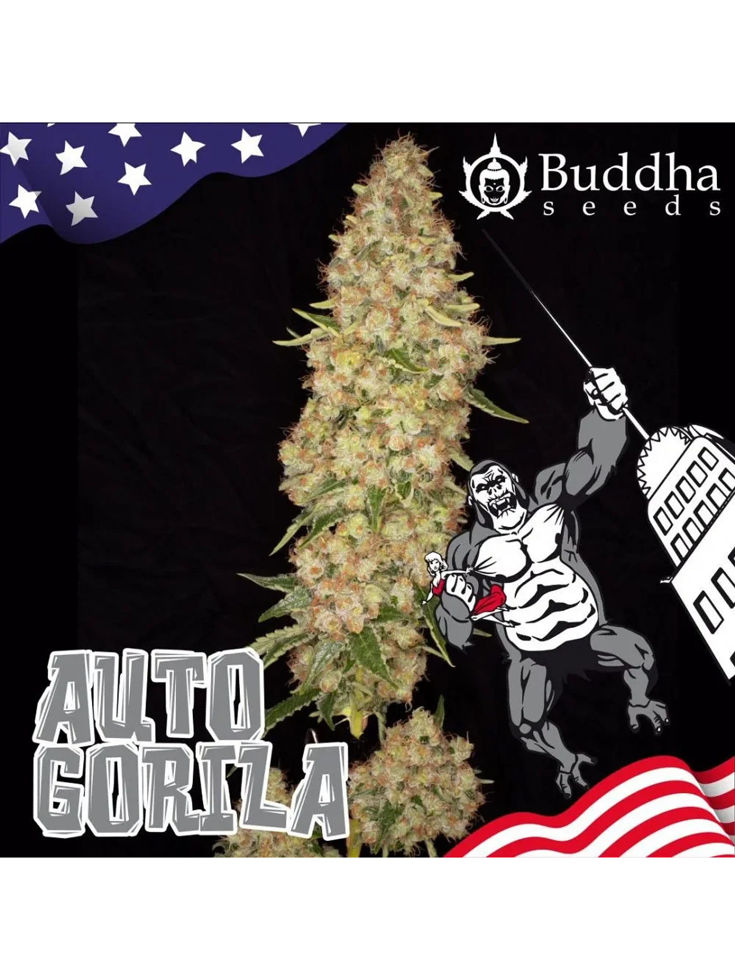 Gorilla Auto X3+1-Buddha Seeds 2