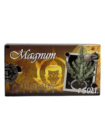 MAGNUM AUTO X50-BUDDHA SEEDS 1