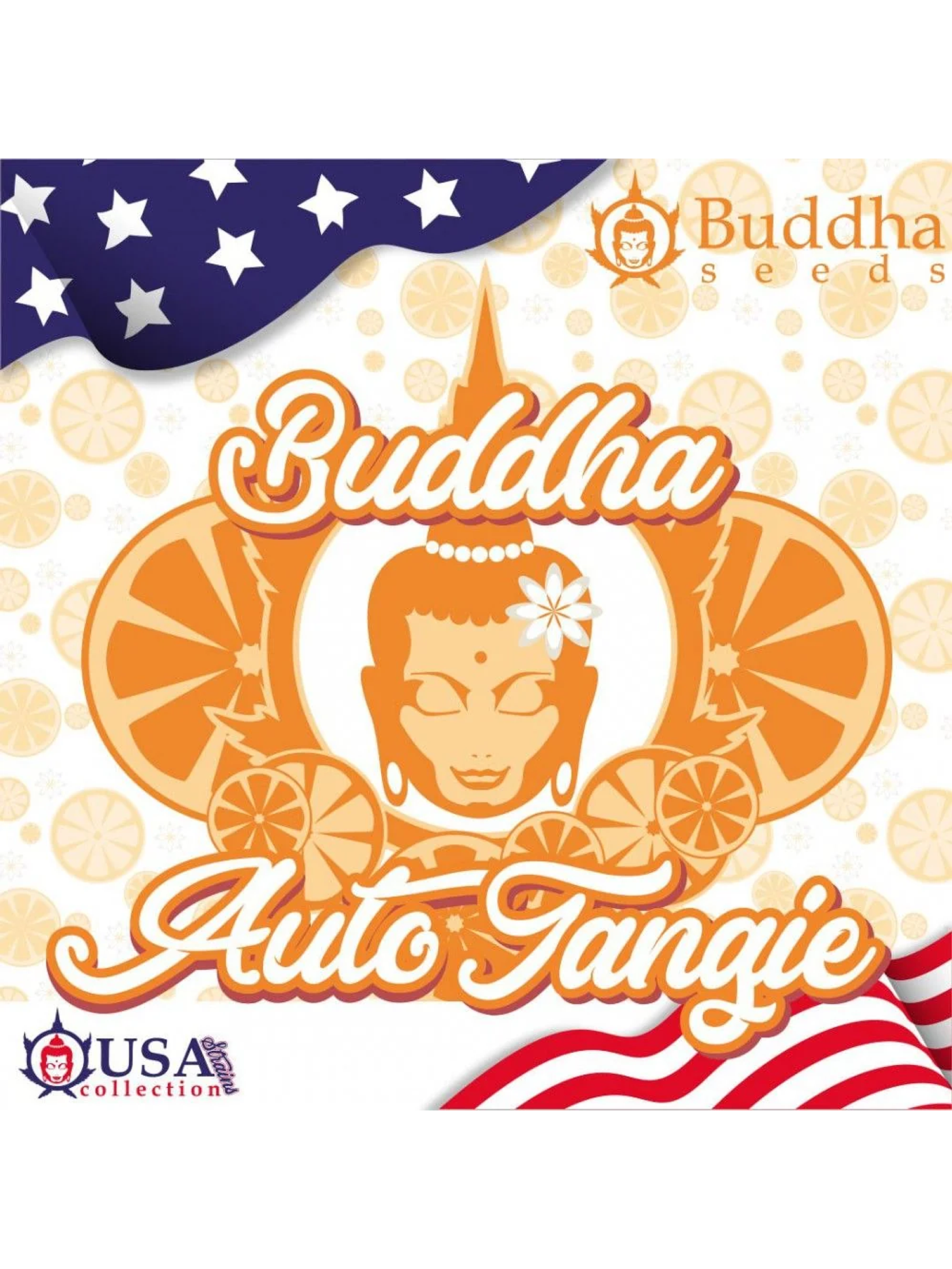 Tangie Auto X3+1-Buddha Seeds 1