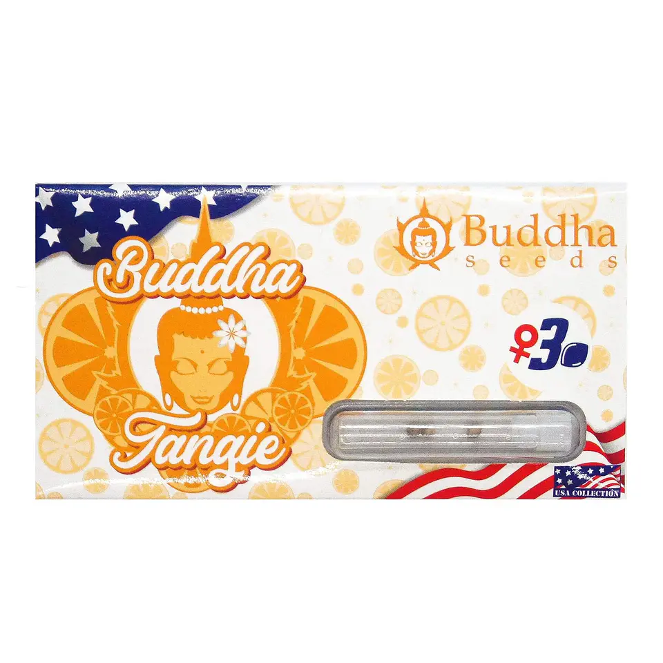 Tangie Fem X3 -Buddha 1