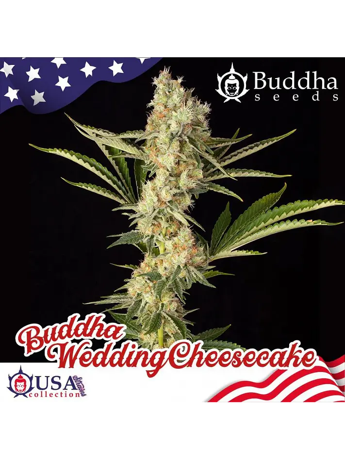 Buddha Wedding Cheesecake X3 1