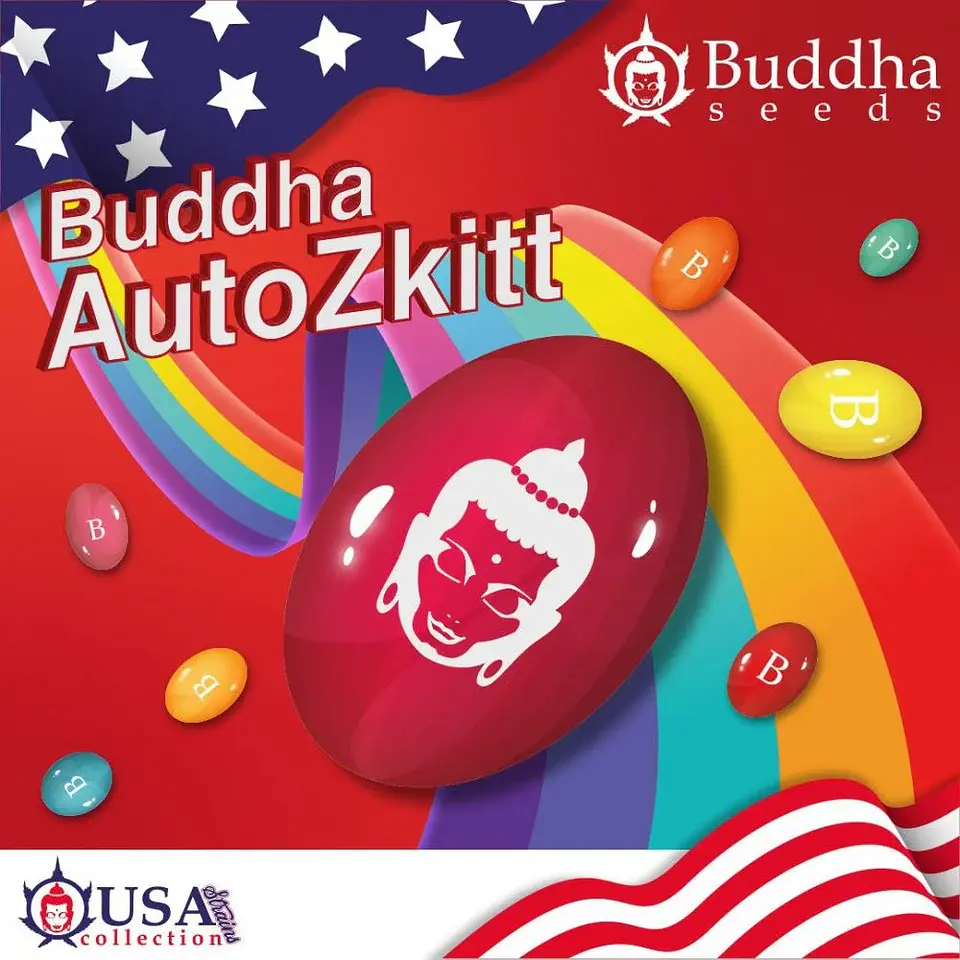 Zkitt Auto X3+1-Buddha Seeds 1