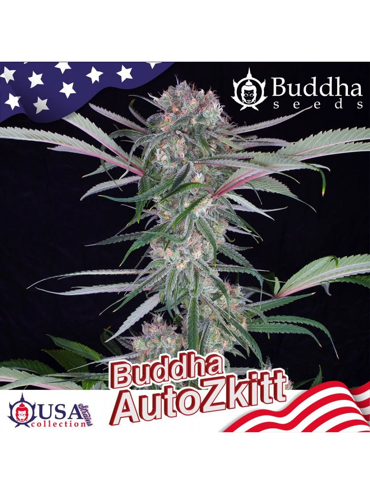 Zkitt Auto X3+1-Buddha Seeds 2
