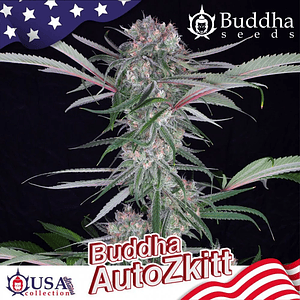 Zkitt Auto X3+1-Buddha Seeds