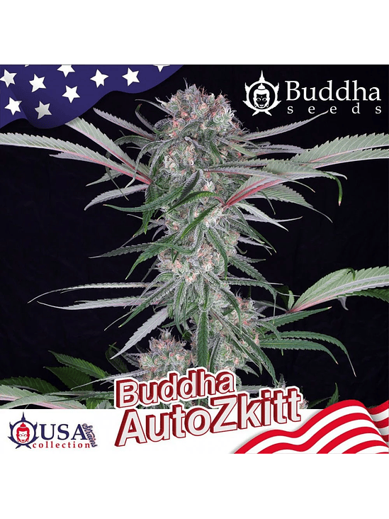 ZKITT AUTO X3+1-BUDDHA SEEDS 2