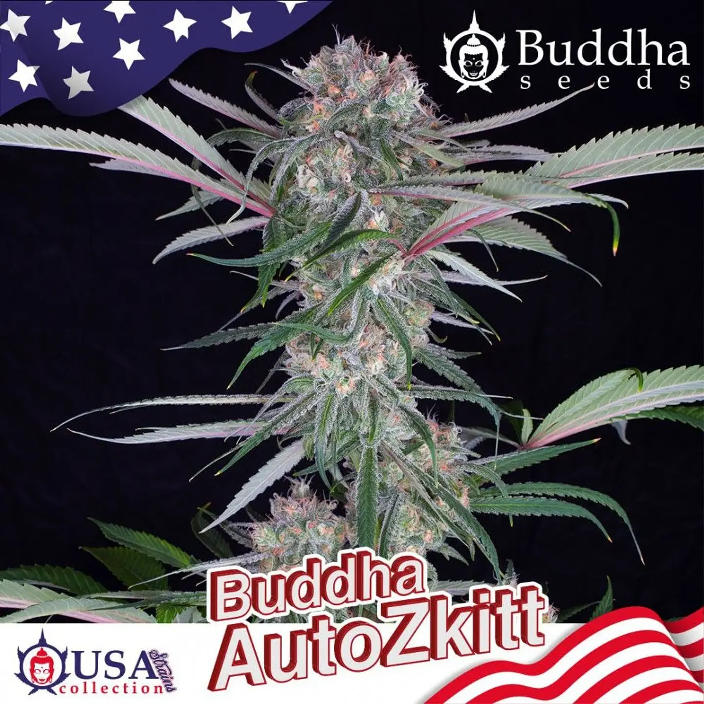 Zkitt Auto X3+1-Buddha Seeds 2