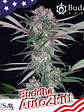 ZKITT AUTO X3+1-BUDDHA SEEDS - Miniatura 2