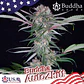 Zkitt Auto X3+1-Buddha Seeds - Miniatura 2