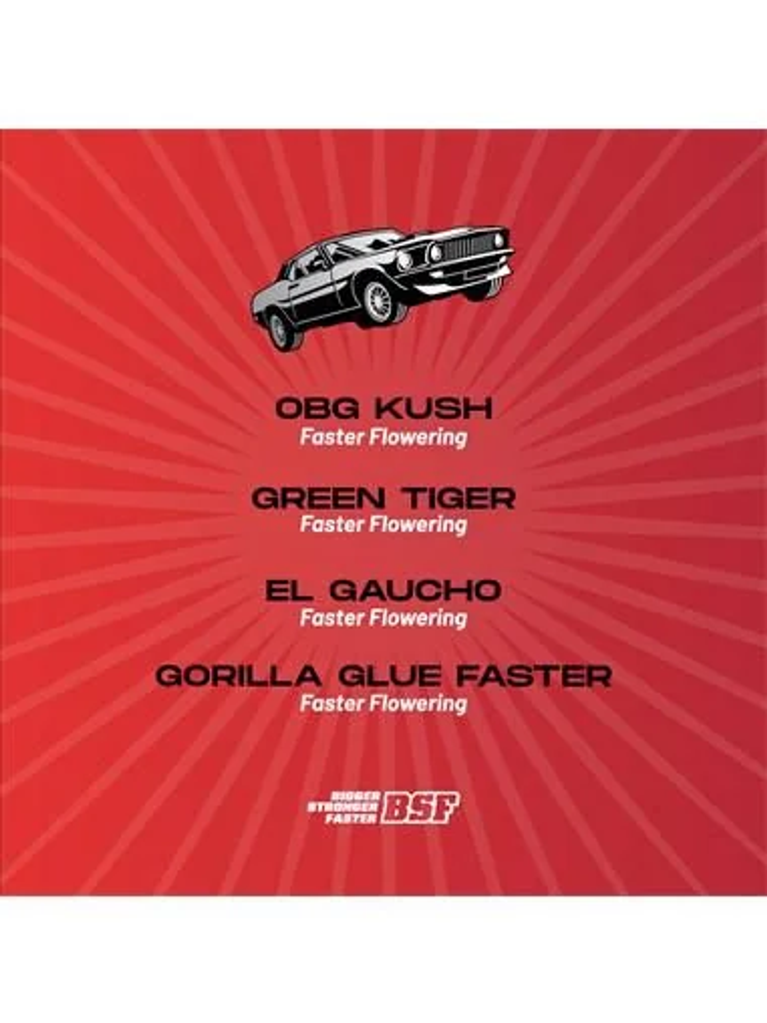 Faster And Furious Faster Mix Fem -Bsf (X12/X8/X4) 3