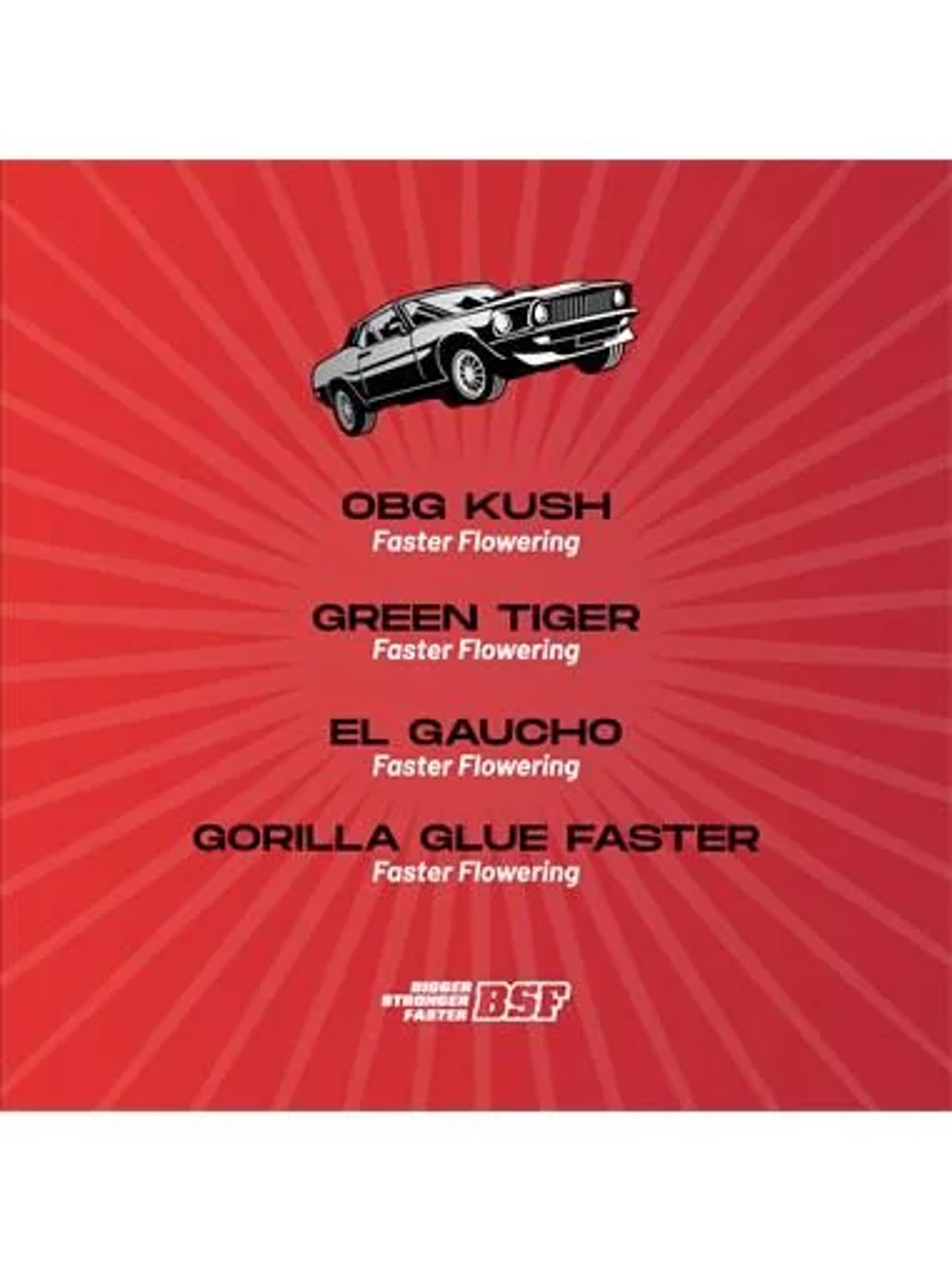 Faster And Furious Faster Mix Fem -Bsf (X12/X8/X4) 3