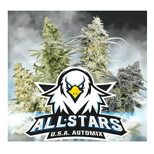ALL STARS USA MIX  AUTO X4 -BSF