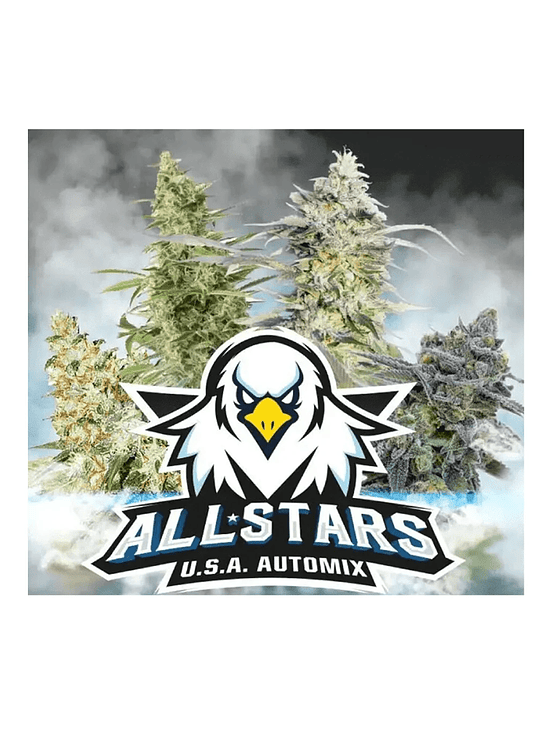 ALL STARS USA MIX  AUTO X4 -BSF 1