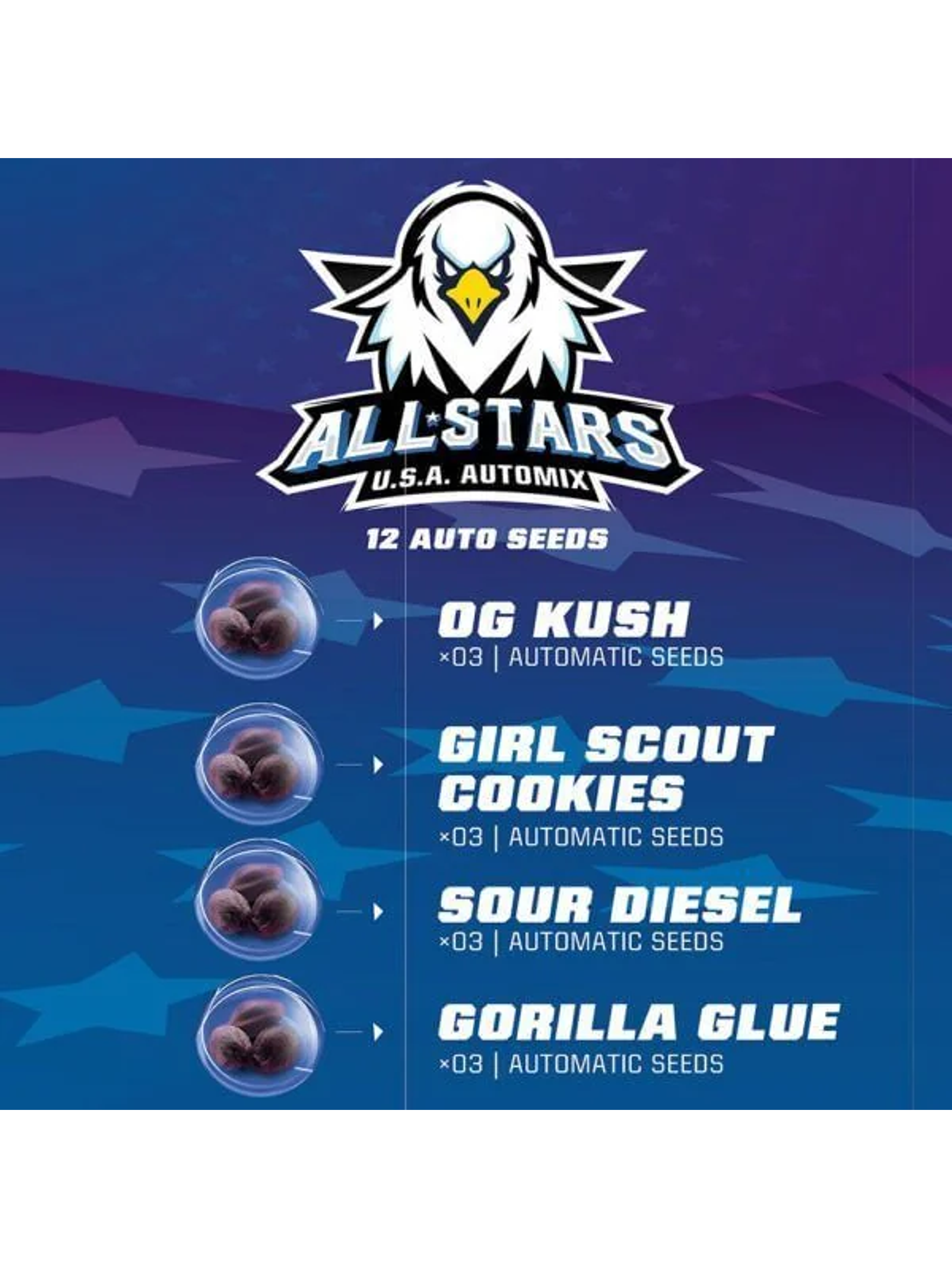 All Stars Usa Mix Auto -Bsf (X12/X4) 1