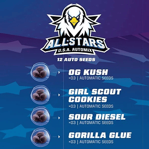 All Stars Usa Mix Auto -Bsf (X12/X4)