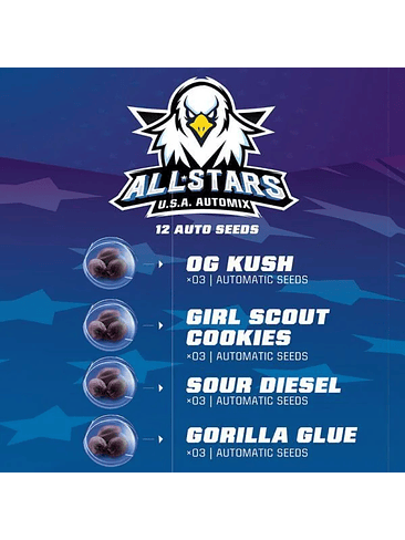ALL STARS USA MIX  AUTO X12 -BSF 1