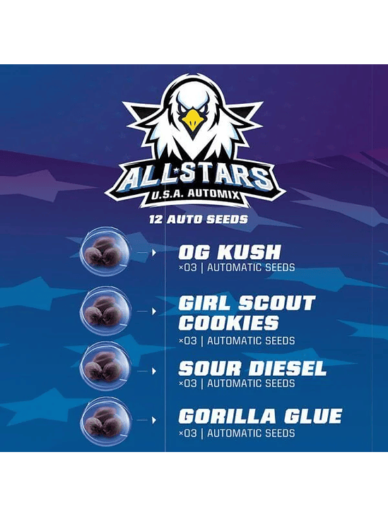 ALL STARS USA MIX  AUTO X12 -BSF 1