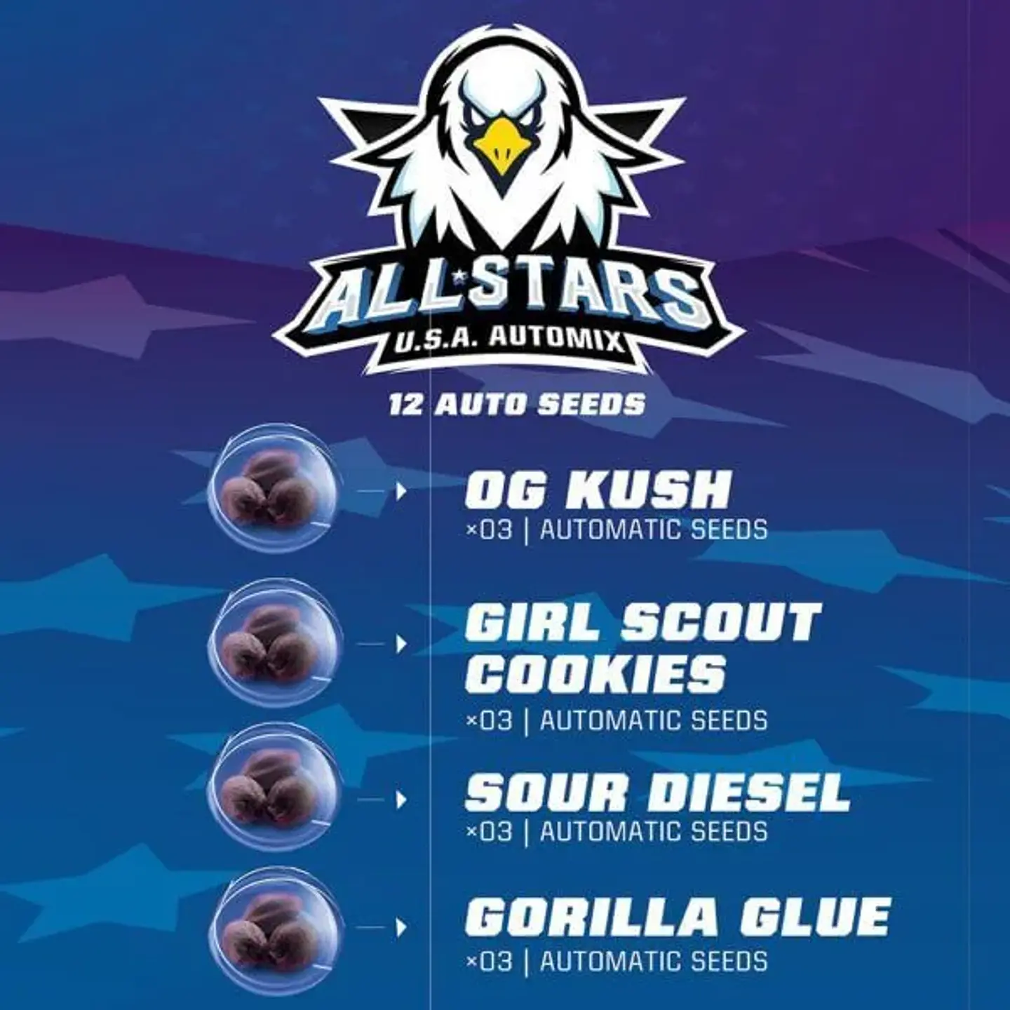 All Stars Usa Mix Auto -Bsf (X12/X4) 1