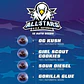 All Stars Usa Mix Auto -Bsf (X12/X4) - Miniatura 1