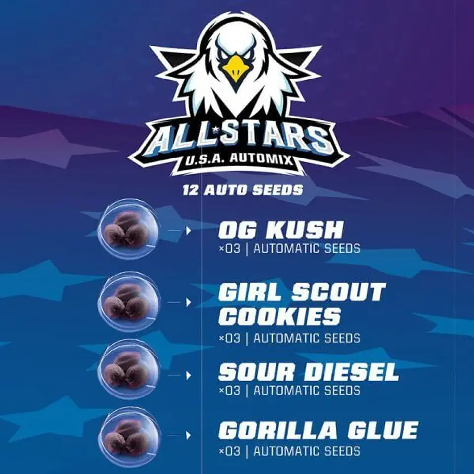 All Stars Usa Mix Auto -Bsf (X12/X4) 1