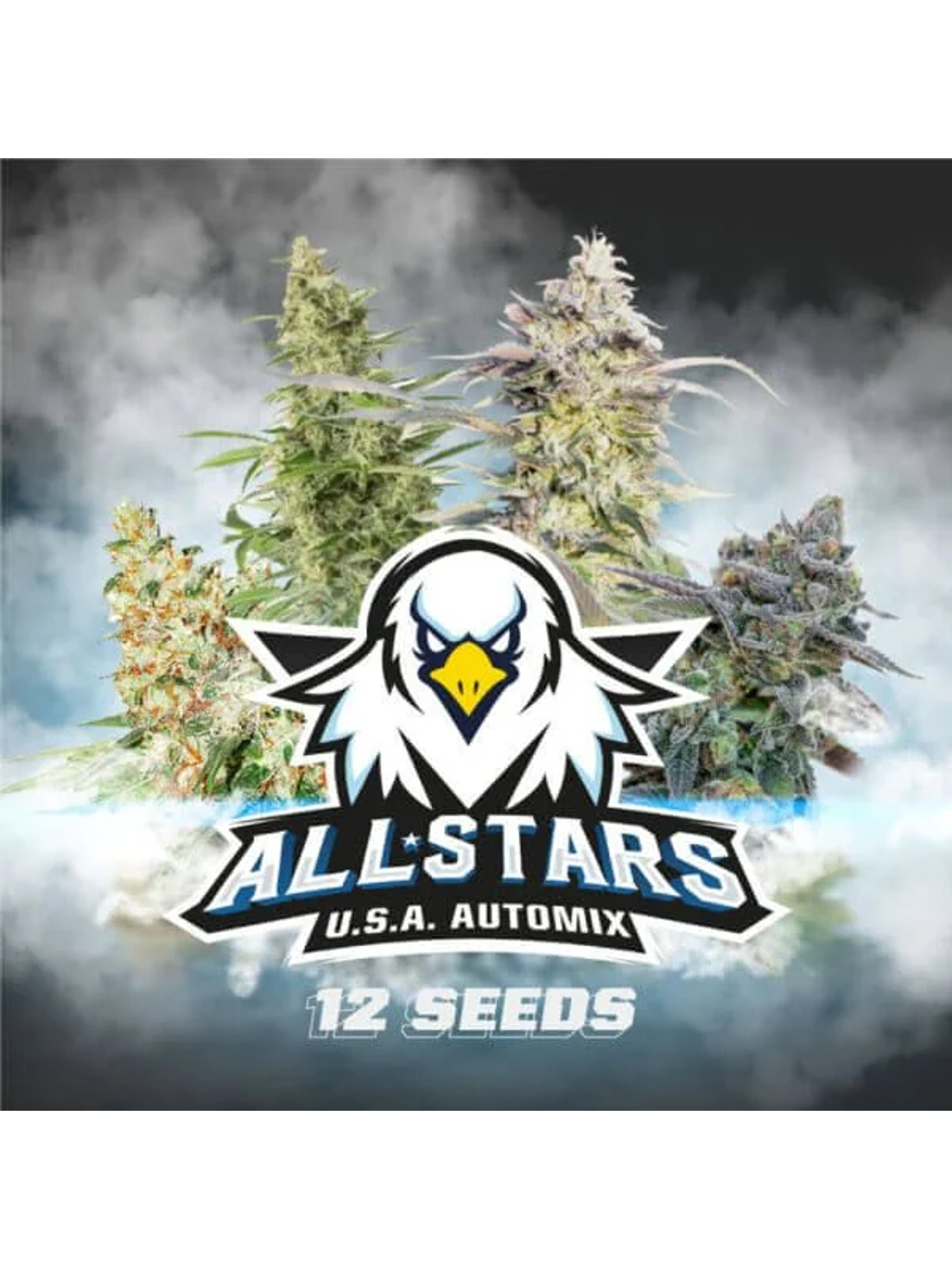 All Stars Usa Mix Auto -Bsf (X12/X4) 2